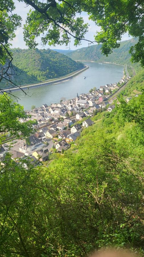 Ferienwohnung Zum Rheinblick Kestert Εξωτερικό φωτογραφία