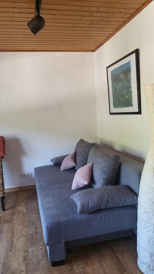 Ferienwohnung Zum Rheinblick Kestert Εξωτερικό φωτογραφία