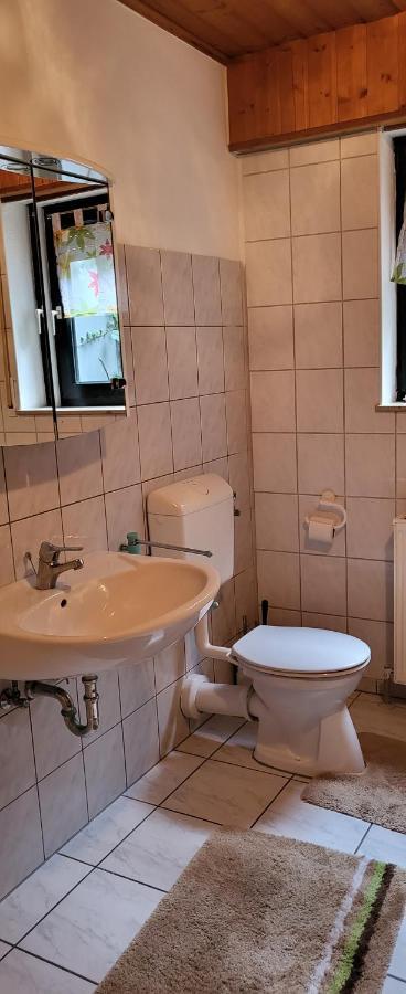 Ferienwohnung Zum Rheinblick Kestert Εξωτερικό φωτογραφία