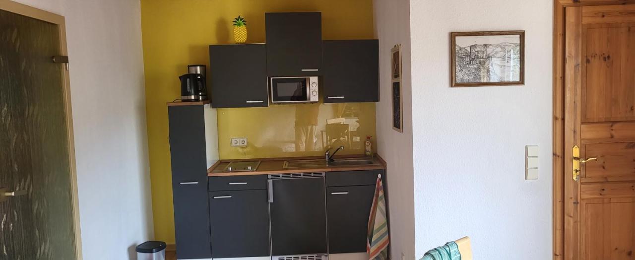 Ferienwohnung Zum Rheinblick Kestert Εξωτερικό φωτογραφία