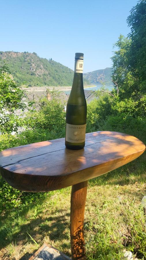 Ferienwohnung Zum Rheinblick Kestert Εξωτερικό φωτογραφία